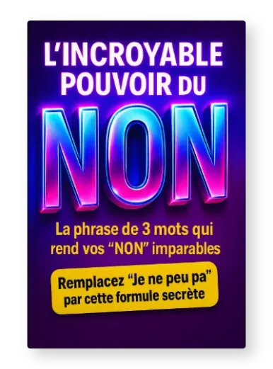 L'incroyable pouvoir du NON PDF